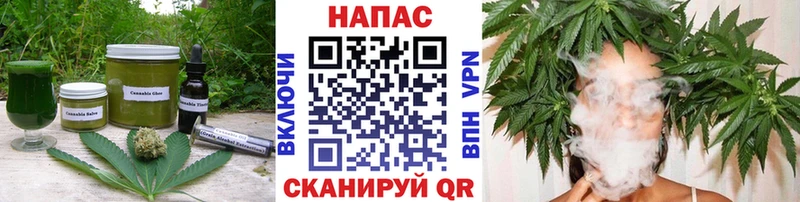 цены   Томилино  Cannafood конопля 
