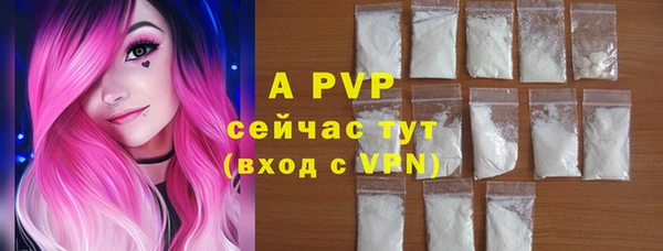 ПСИЛОЦИБИНОВЫЕ ГРИБЫ Ладушкин