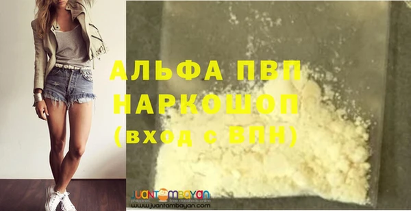 ПСИЛОЦИБИНОВЫЕ ГРИБЫ Ладушкин