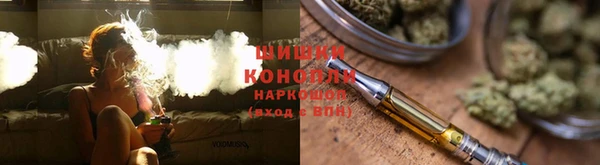 ПСИЛОЦИБИНОВЫЕ ГРИБЫ Ладушкин
