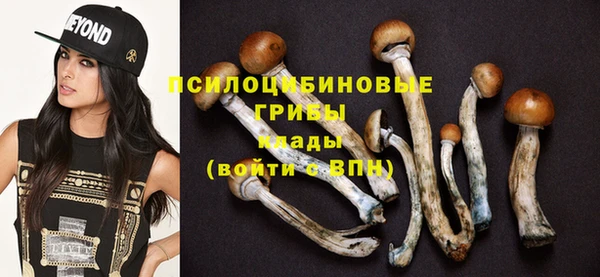 спайс Лагань